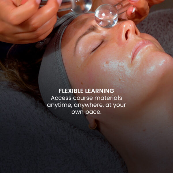 Ice Globe and Jade Stone Facial Course Online