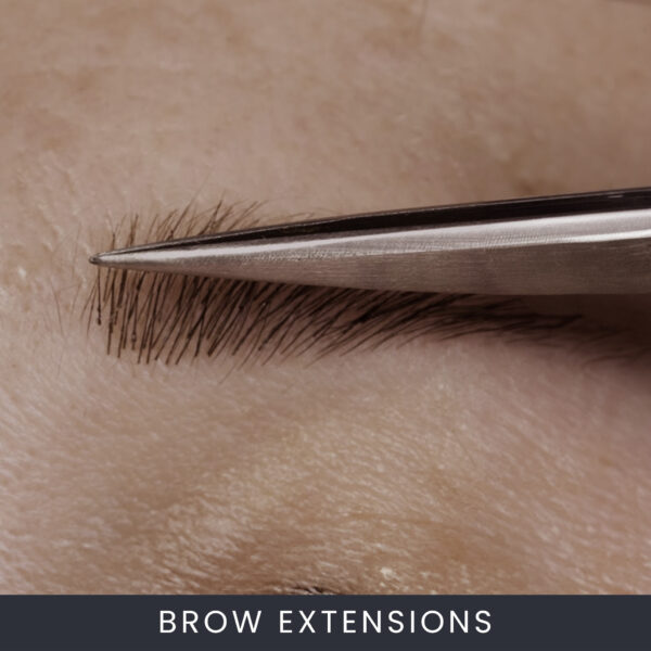 Brow Extension Course Online
