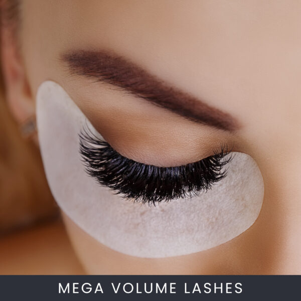 Mega Volume Lashes Course Online Mega Volume Lashes Course Online